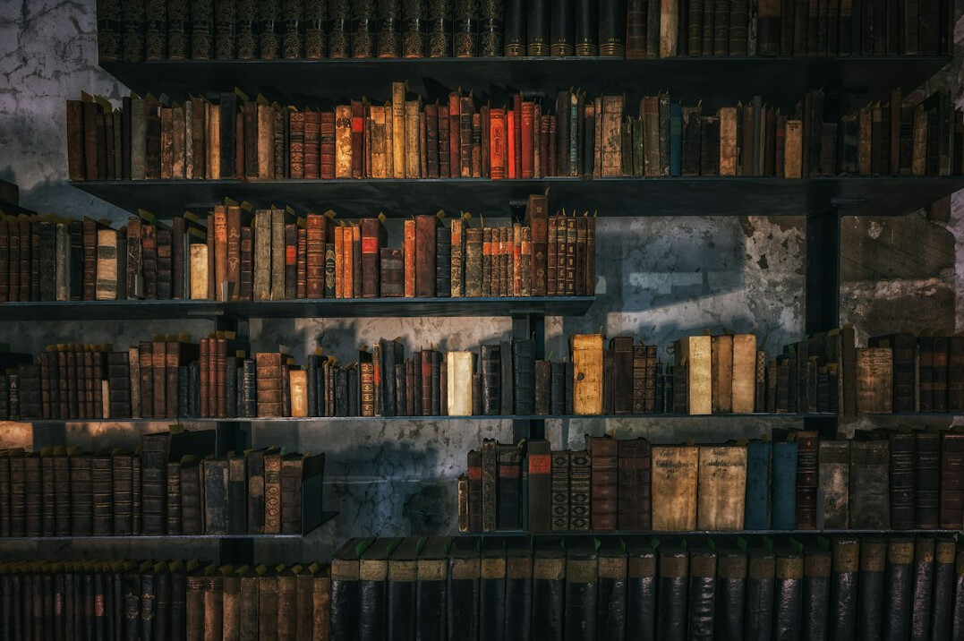 bookshelf full of novels