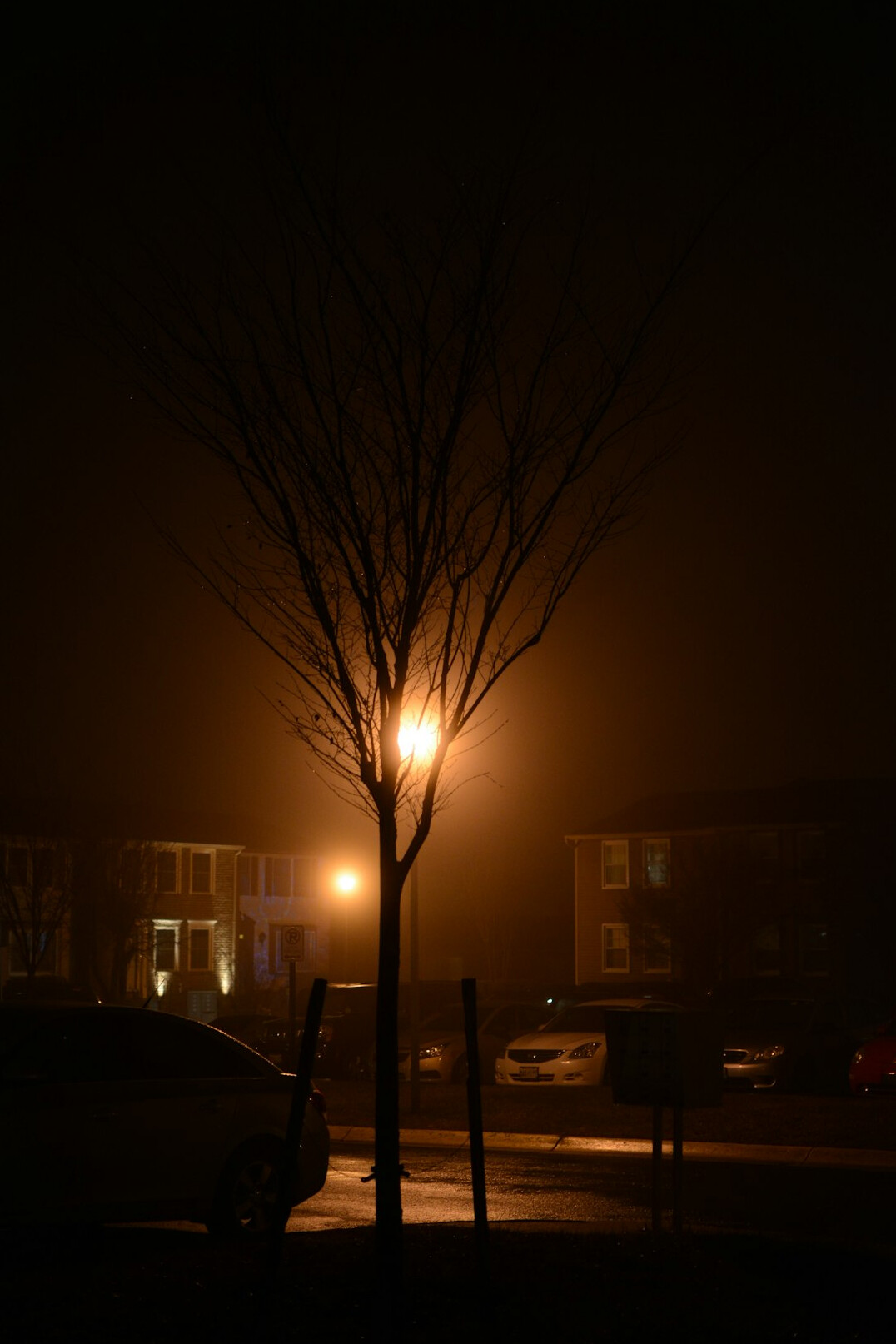 foggy street lamp