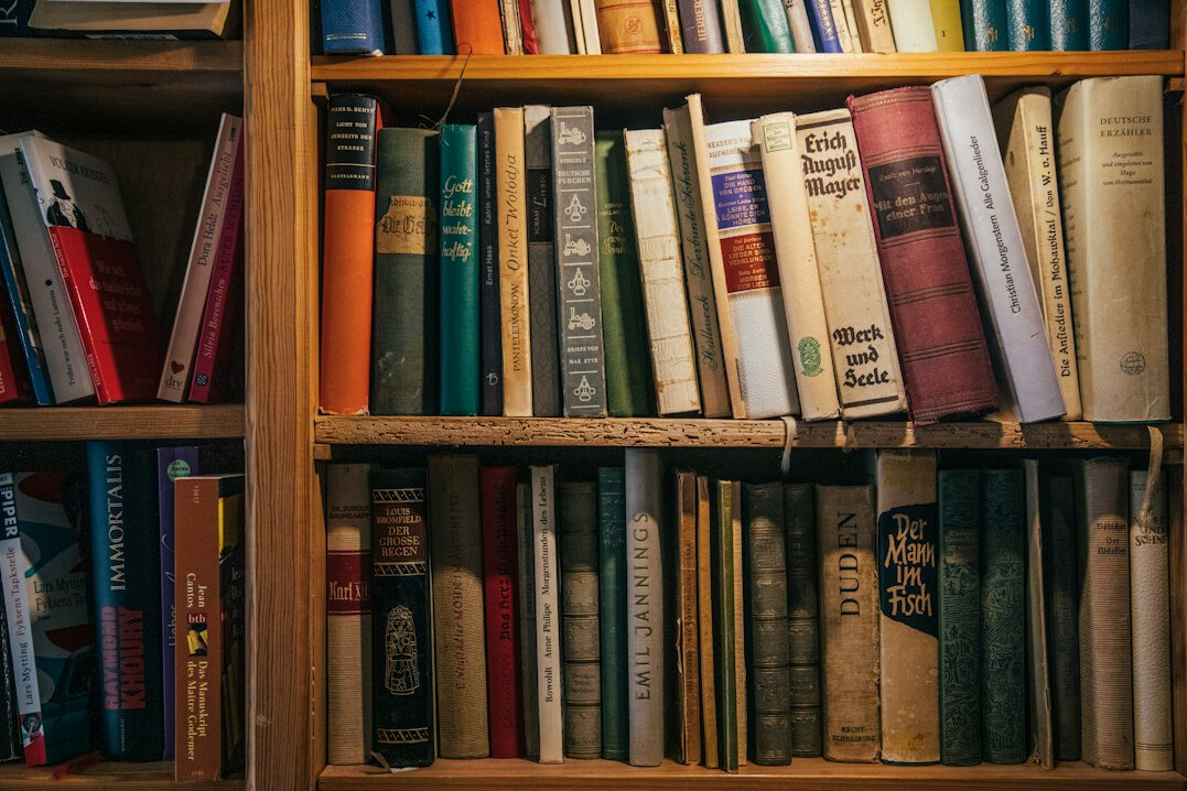 bookshelf with mystery novels